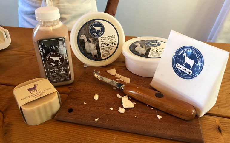 Custom Cheese Labels